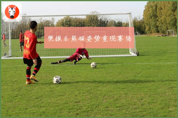 樊振东熊猫姿势重现赛场